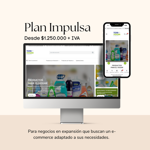 Desarrollo E-commerce: Plan Impulsa