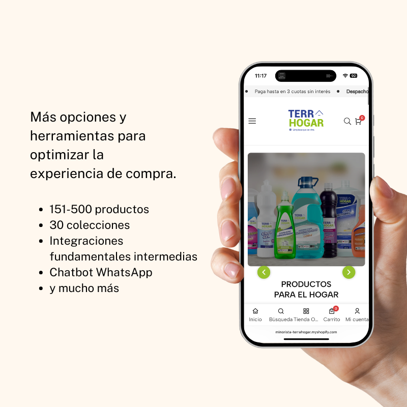 Desarrollo E-commerce: Plan Impulsa