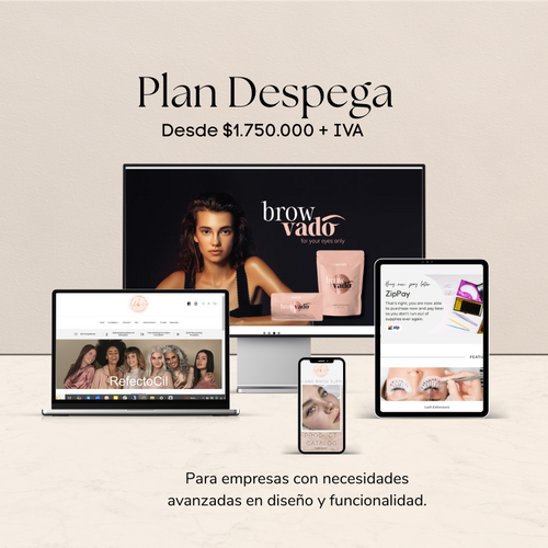 Desarrollo E-commerce: Plan Despega